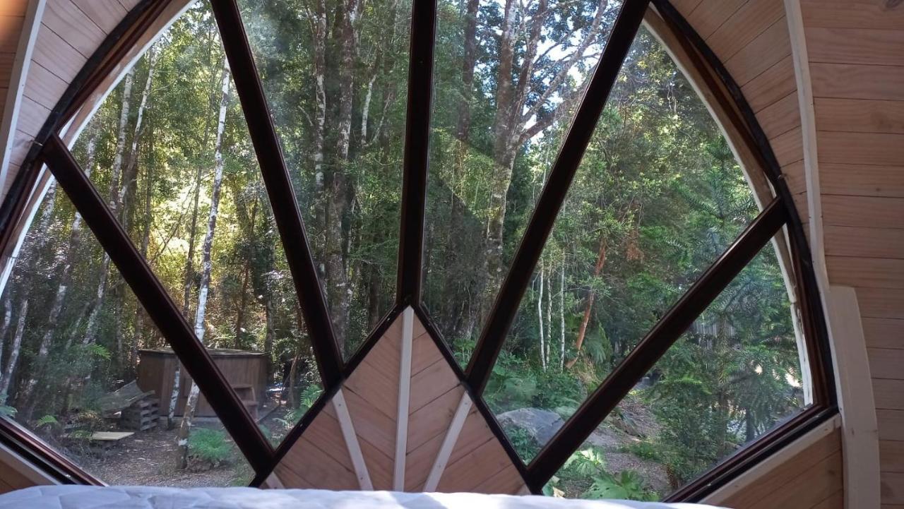 Cabanas Los Volcanes Ensenada Puerto Varas المظهر الخارجي الصورة