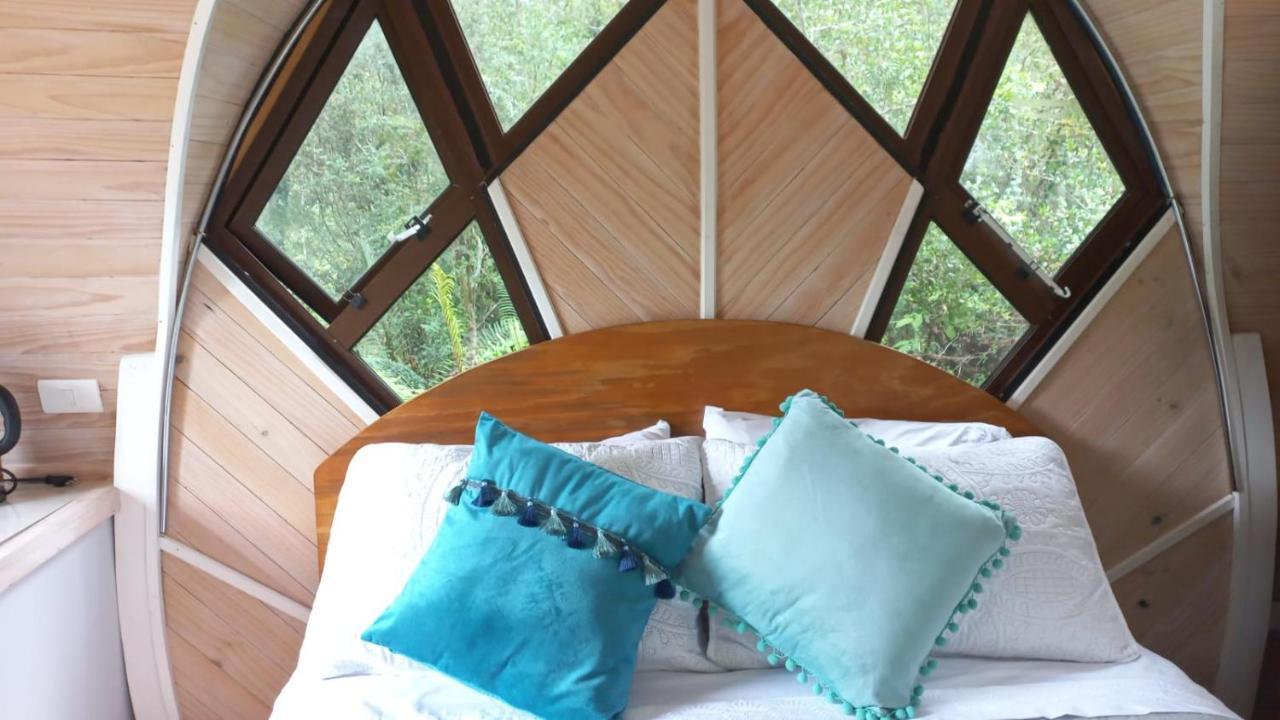 Cabanas Los Volcanes Ensenada Puerto Varas المظهر الخارجي الصورة