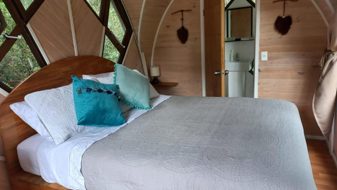Cabanas Los Volcanes Ensenada Puerto Varas المظهر الخارجي الصورة