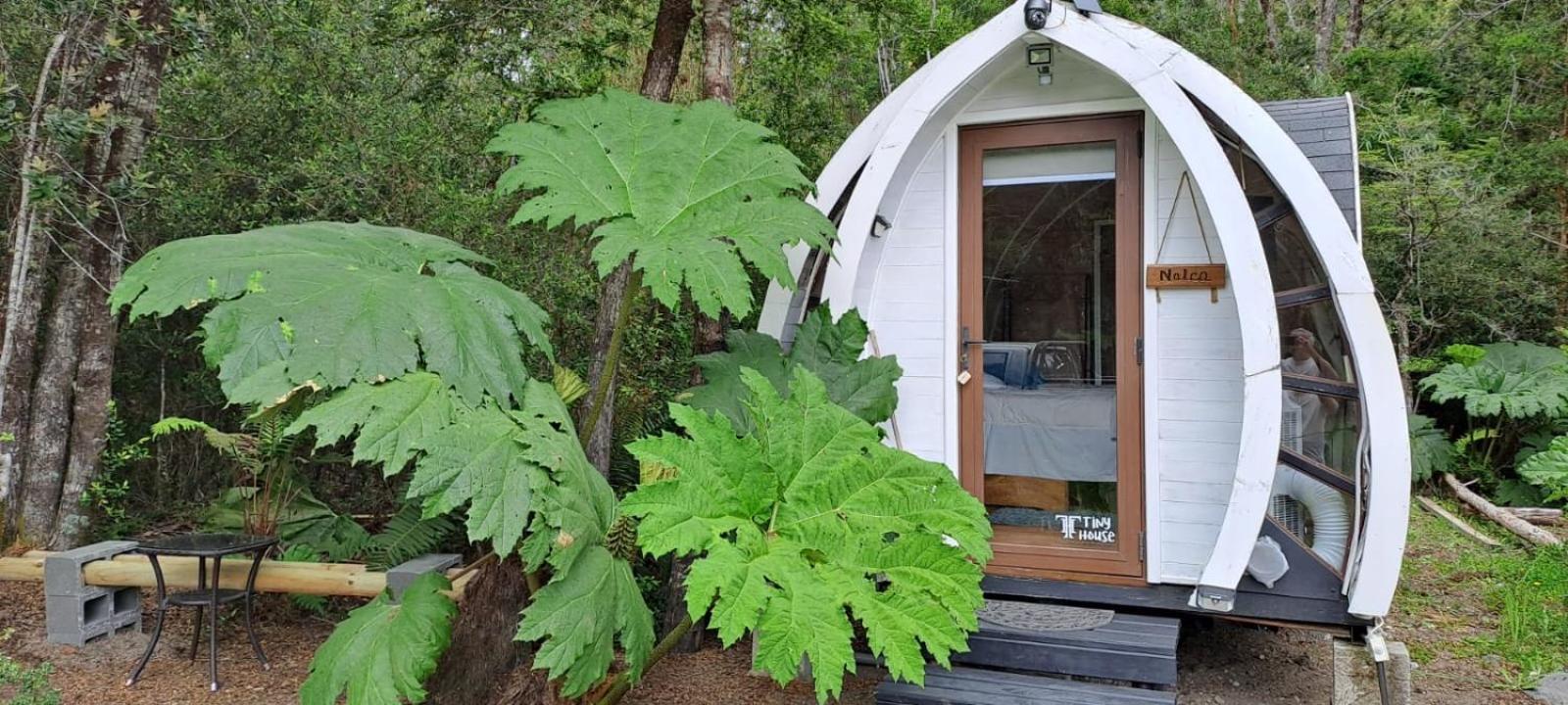 Cabanas Los Volcanes Ensenada Puerto Varas المظهر الخارجي الصورة