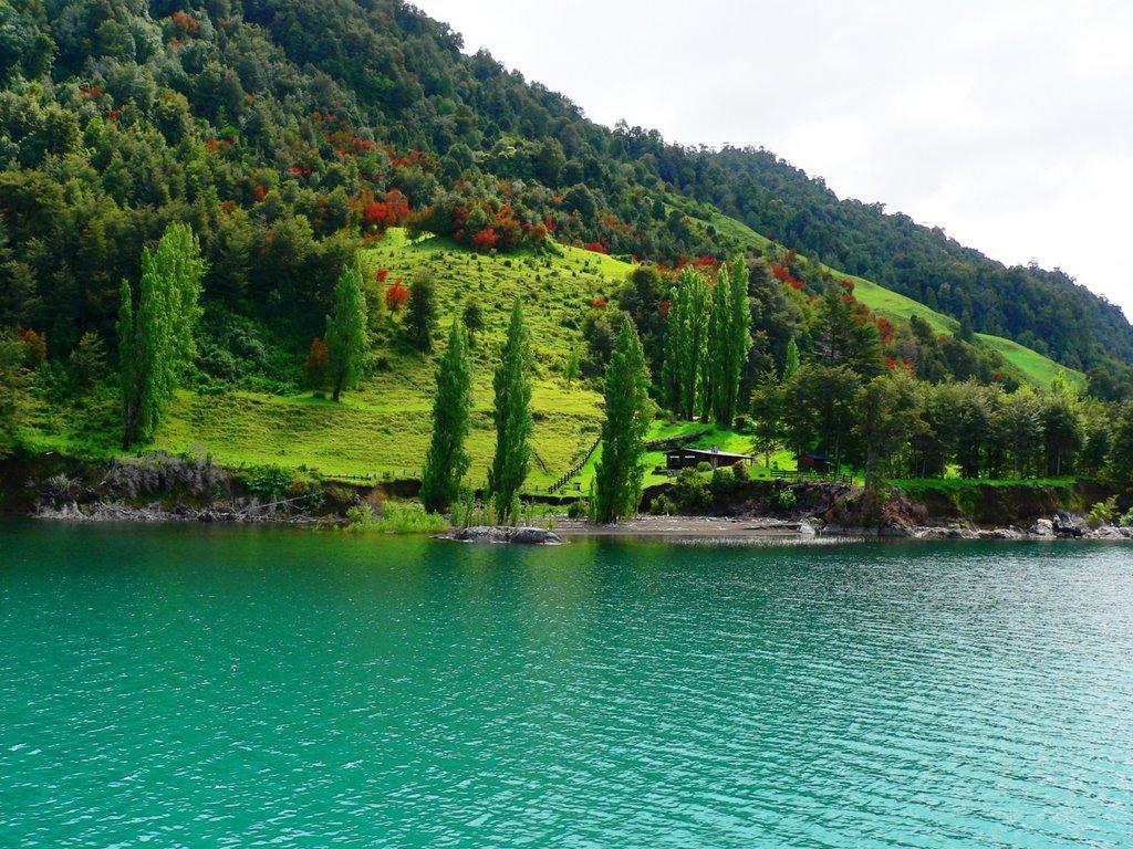 Cabanas Los Volcanes Ensenada Puerto Varas المظهر الخارجي الصورة