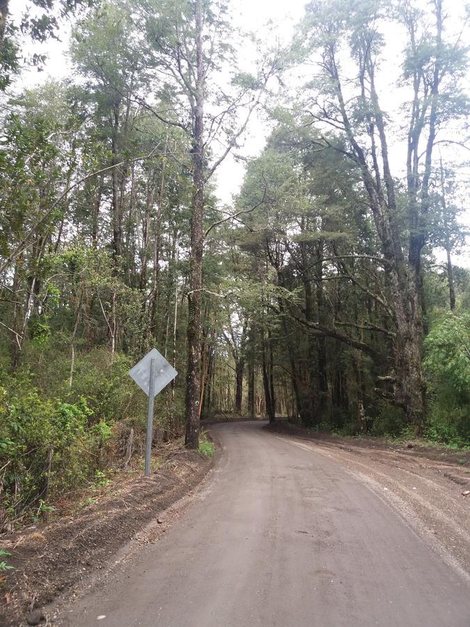 Cabanas Los Volcanes Ensenada Puerto Varas المظهر الخارجي الصورة